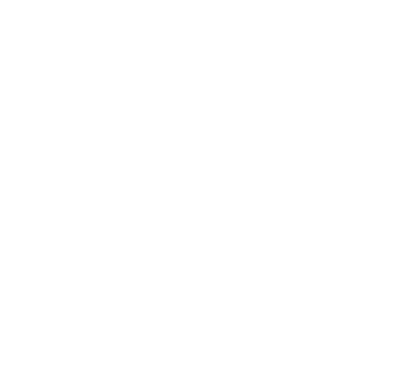 commercial security